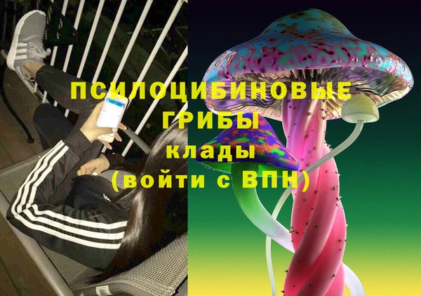 хмурый Гусь-Хрустальный