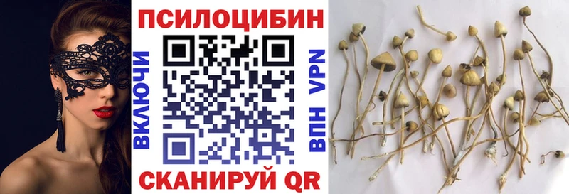 цена наркотик Дагестанские Огни ссылка на мегу как войти Псилоцибиновые грибы MAGIC MUSHROOMS